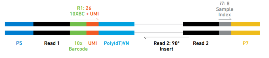 image-20201005141445909