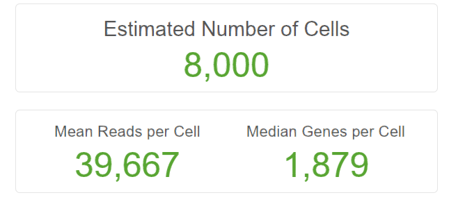 image-20201020160549086