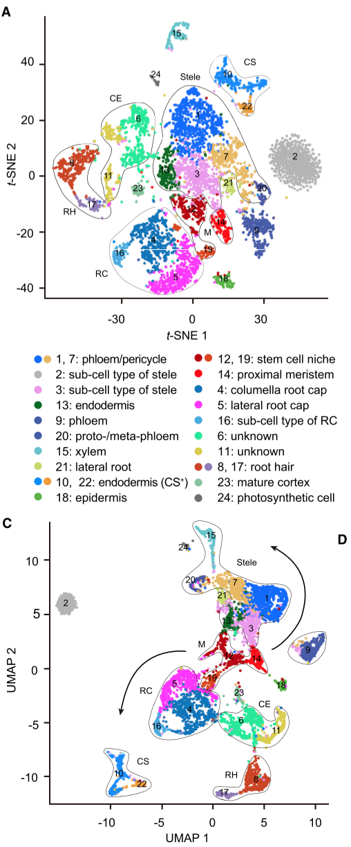 image-20201020185644210