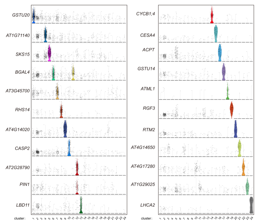image-20201020185818669