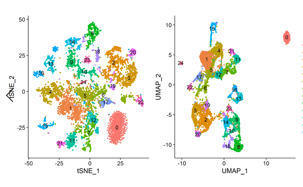 image-20201020202858168