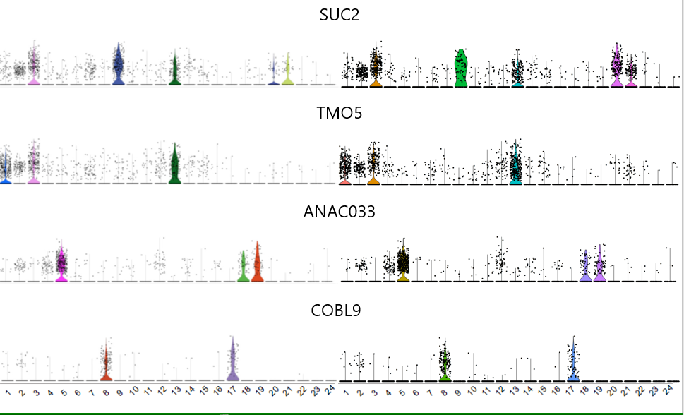 image-20201021092654590