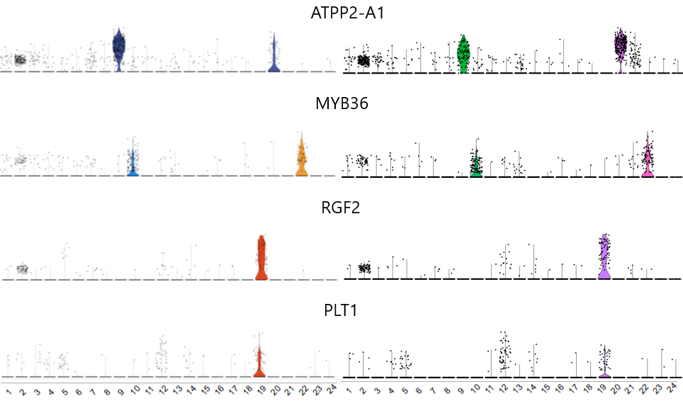 image-20201021092710599