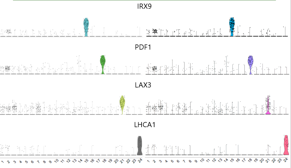 image-20201021092725458