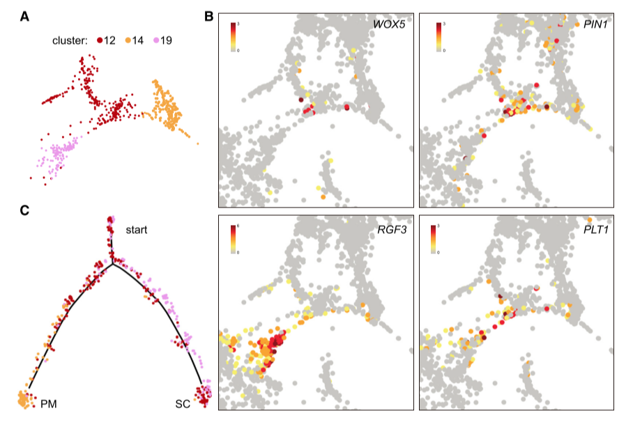 image-20201023152740641