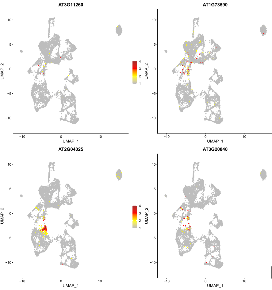 image-20201023153024449