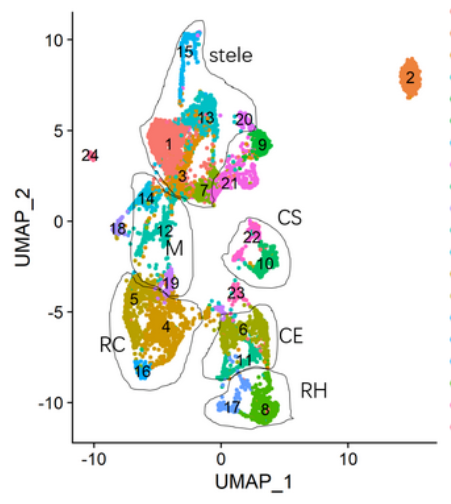 image-20201023153253155