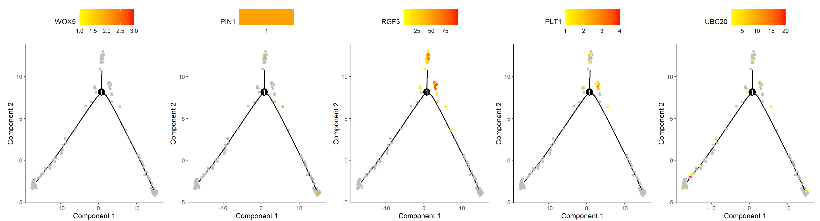 image-20201023154314895