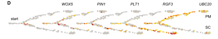 image-20201023154346431