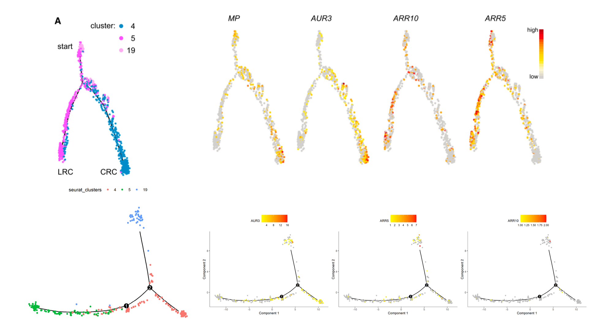 image-20201023154946765