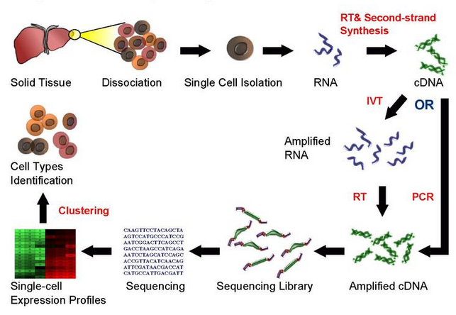 image-20201103105423653