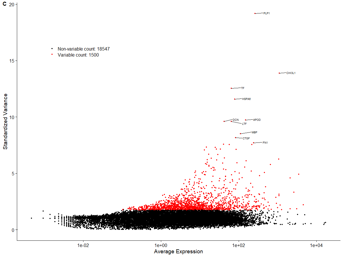 image-20201107135433890