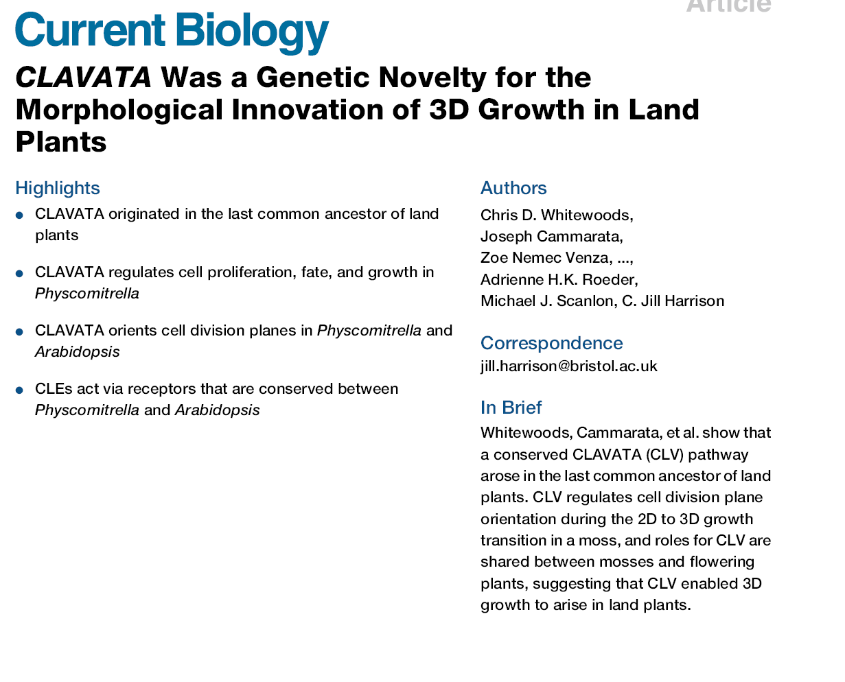 image-20201013160632420