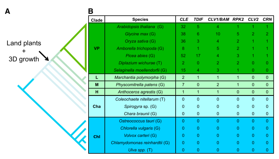 image-20201013195150606