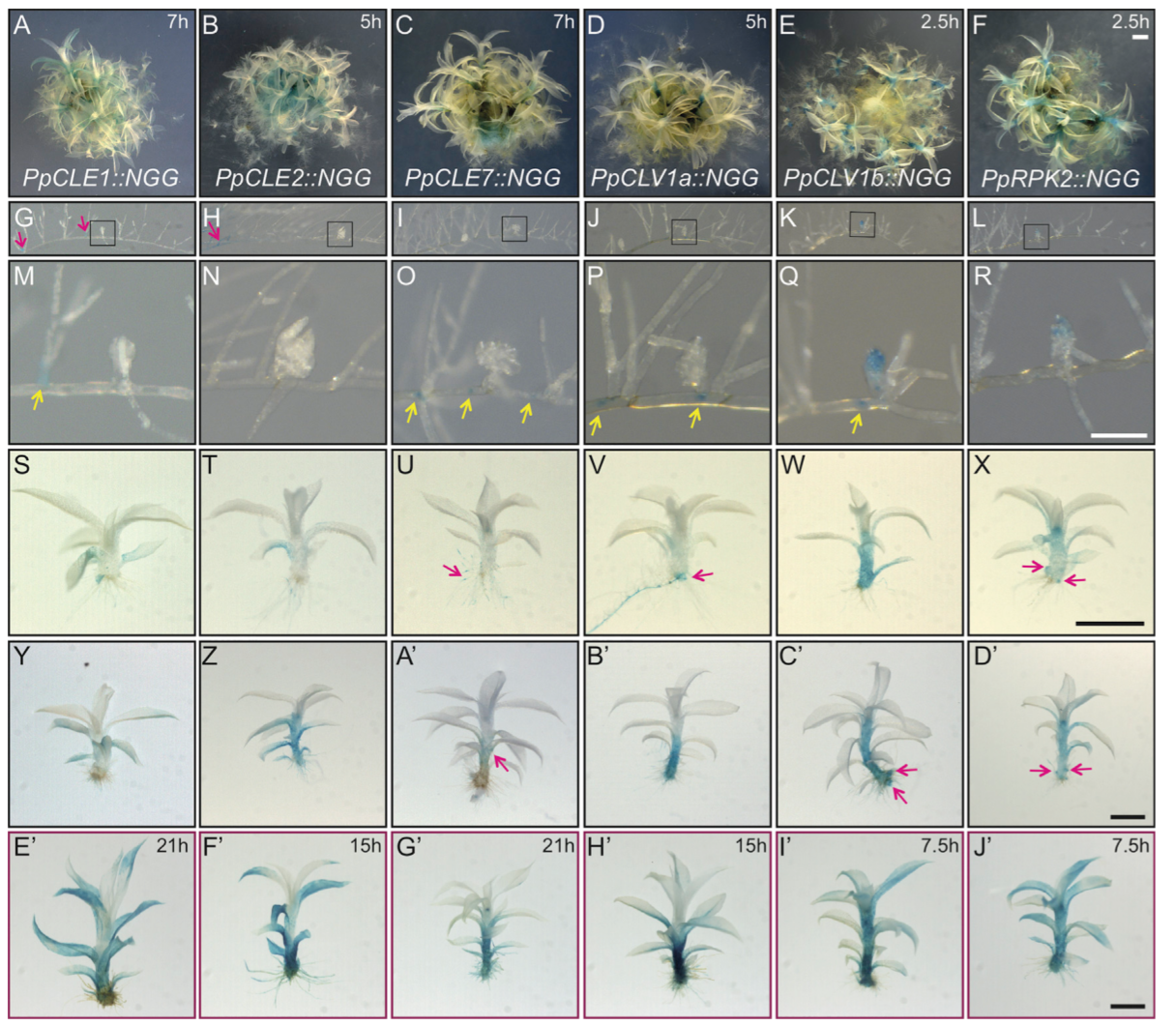 image-20201013203935232