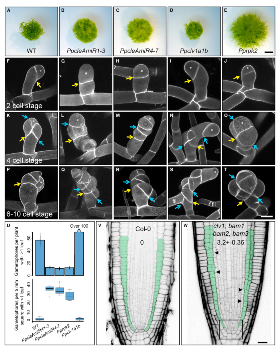 image-20201014094419020