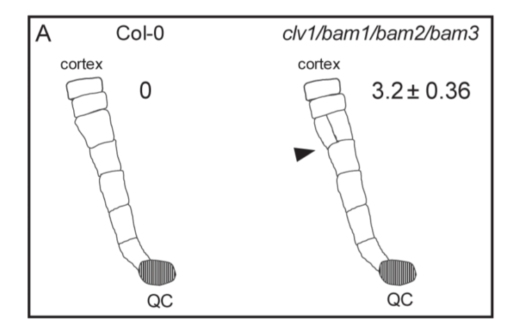 image-20201014145116546