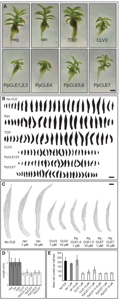 image-20201014164648211