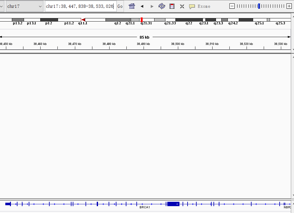 image-20201228155514628