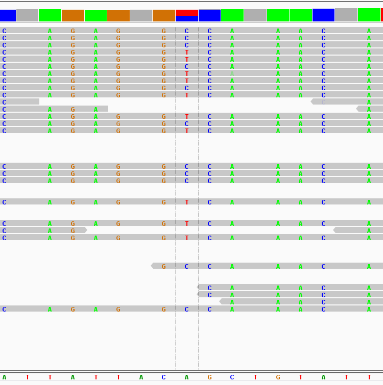 image-20201228164719969