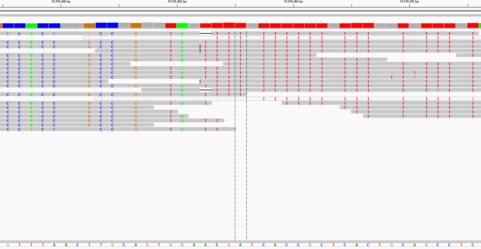 image-20201228165017063