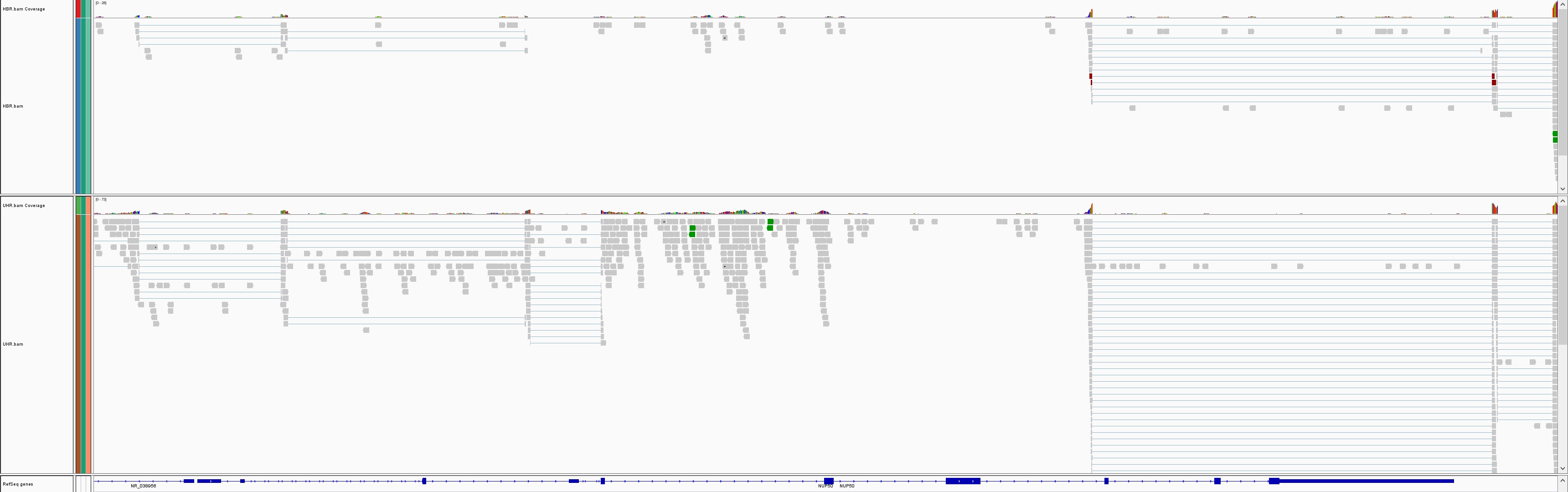 image-20201229161539281