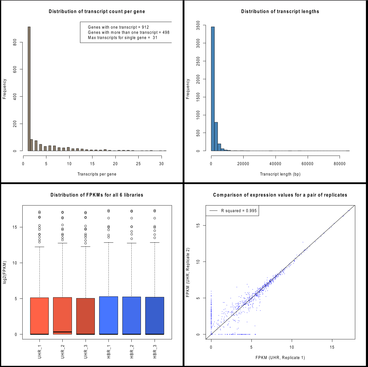 image-20210105164626539