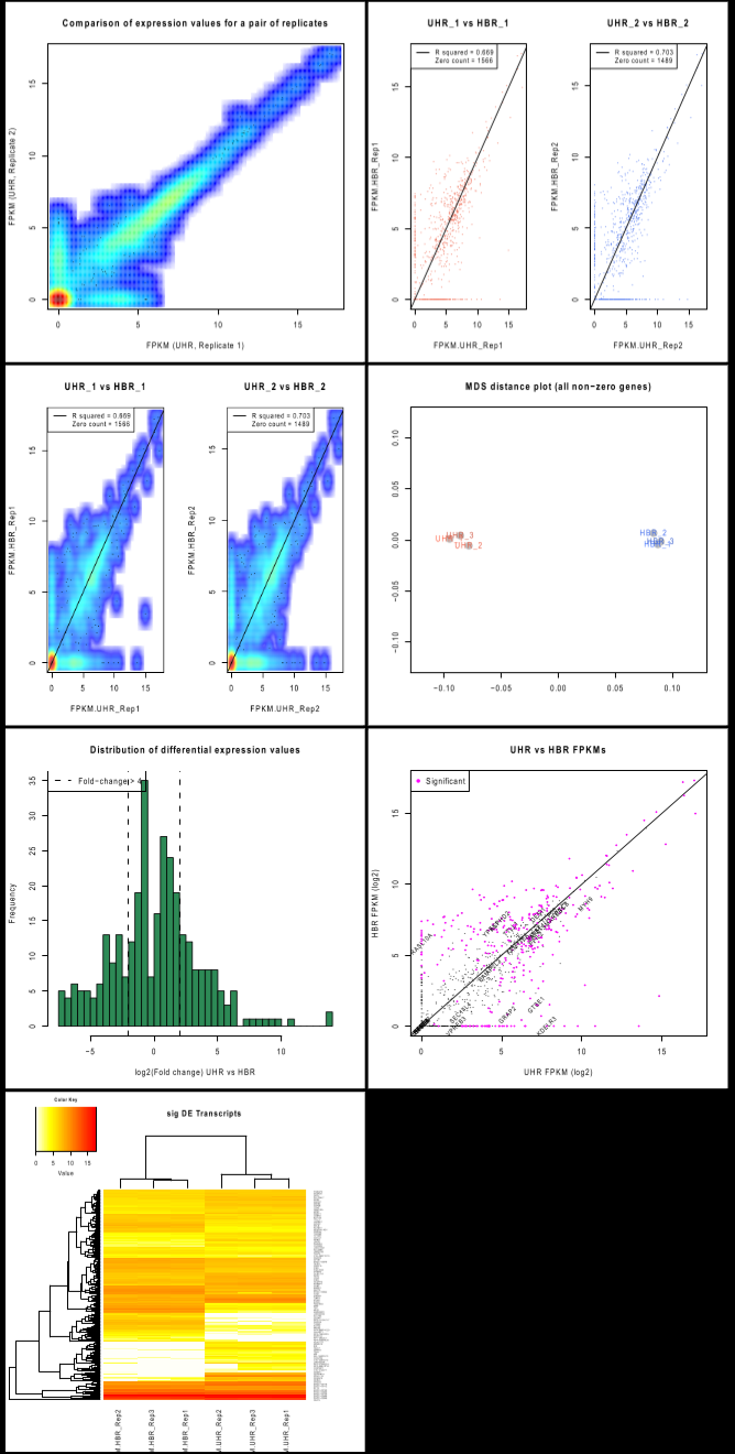 image-20210105164645781