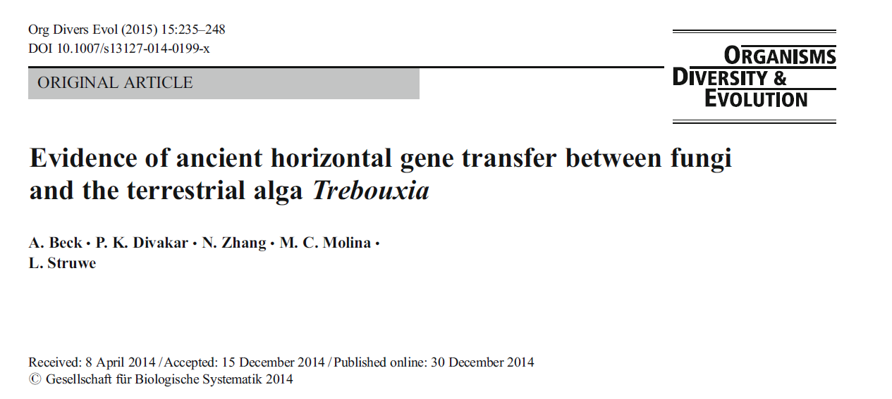 image-20200730091801046