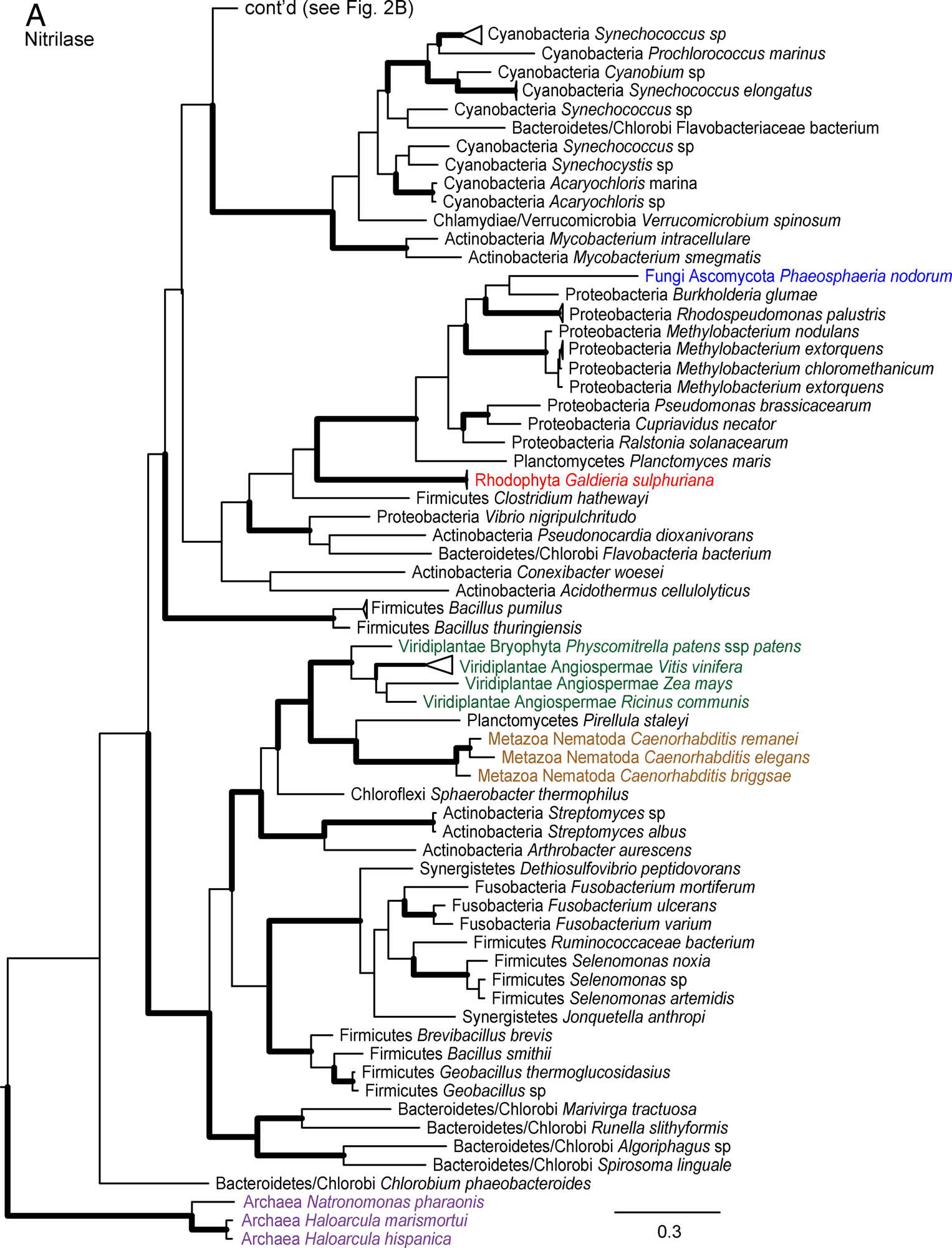 image-20200730140832845