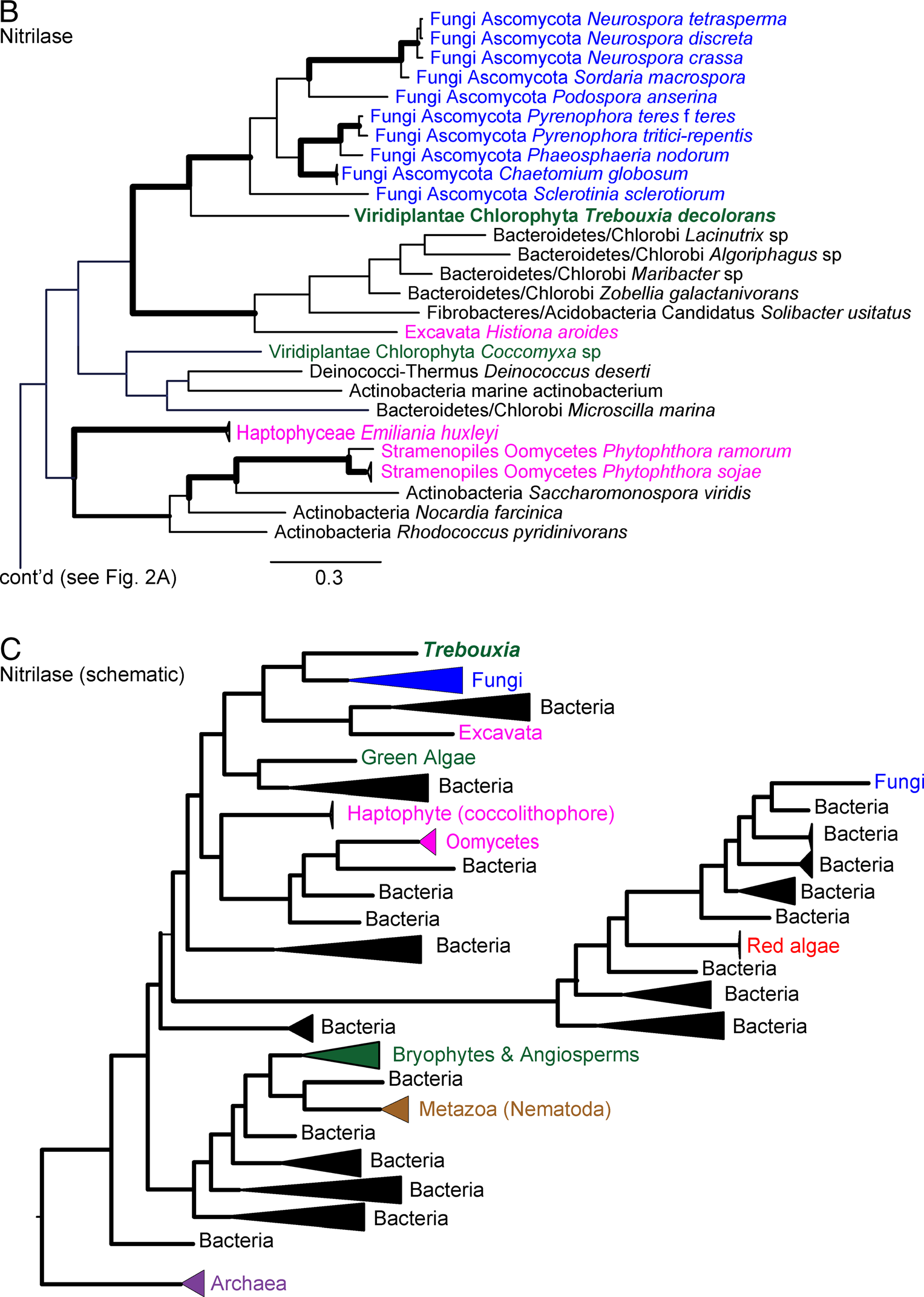 image-20200730140846337