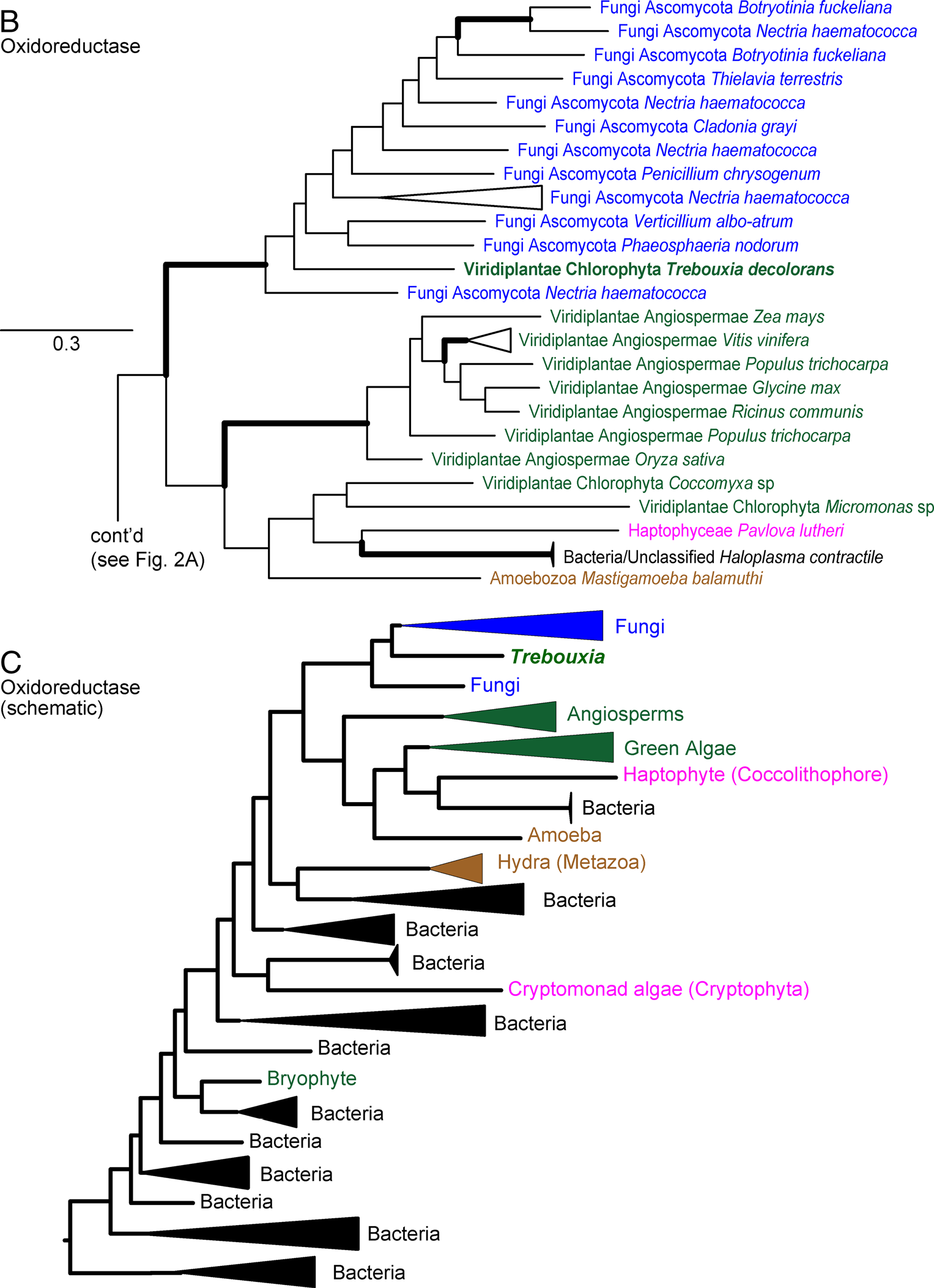 image-20200730162105739