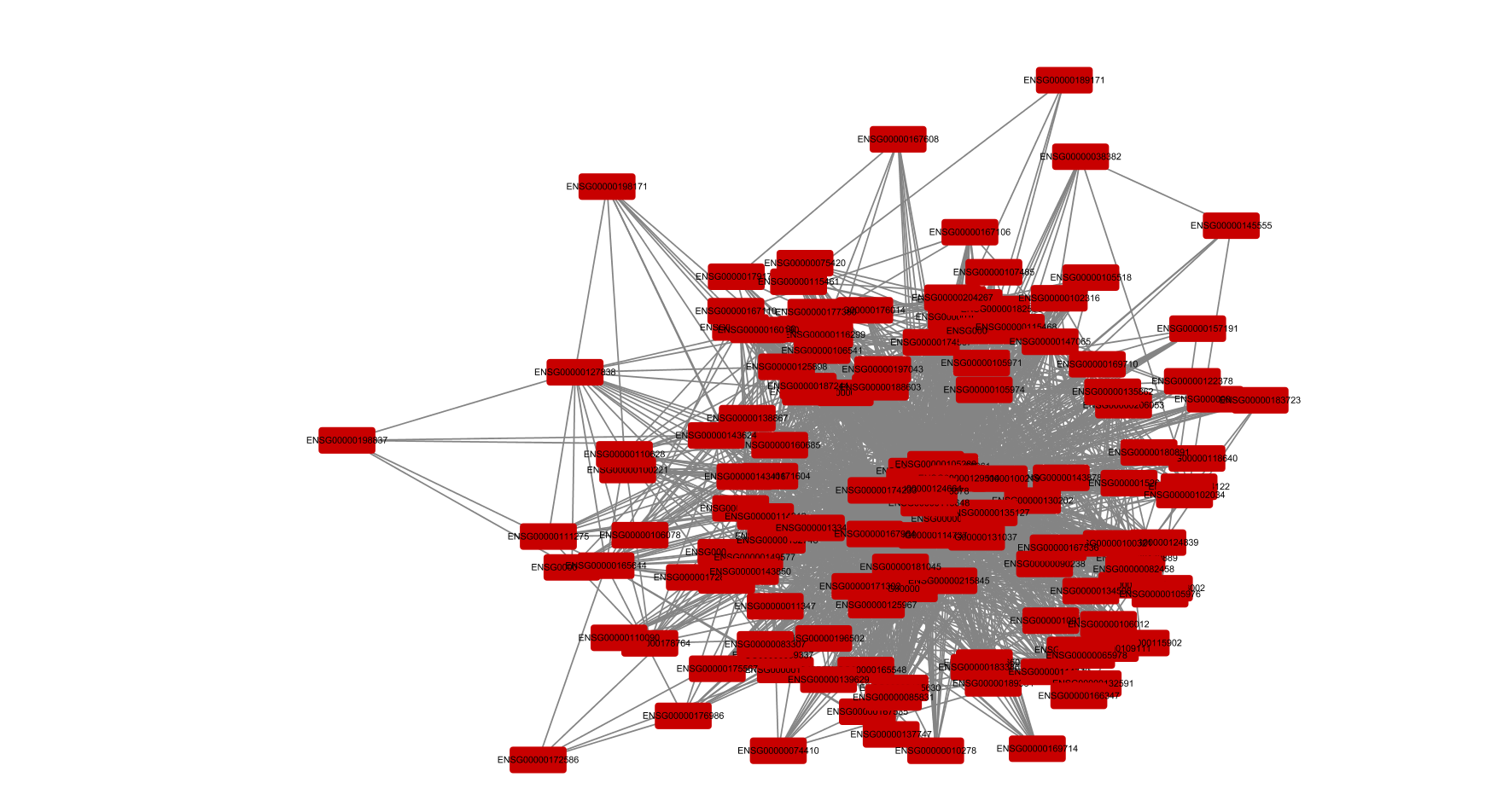 image-20200809154201219