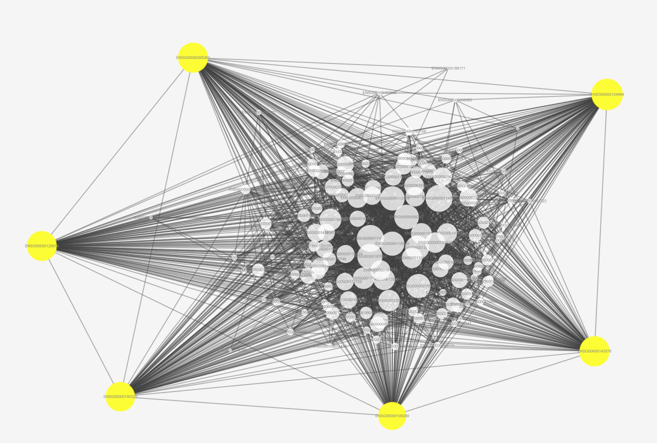 image-20200809155908673