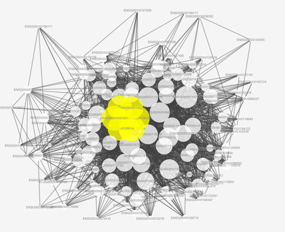 image-20200809160436454