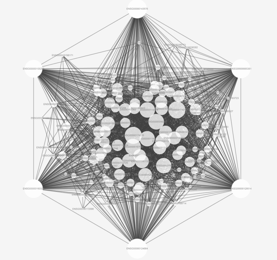 image-20200809160724561