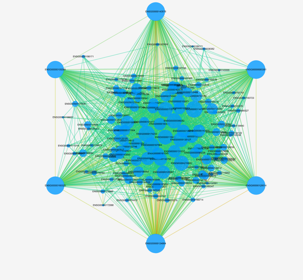 image-20200809161715090