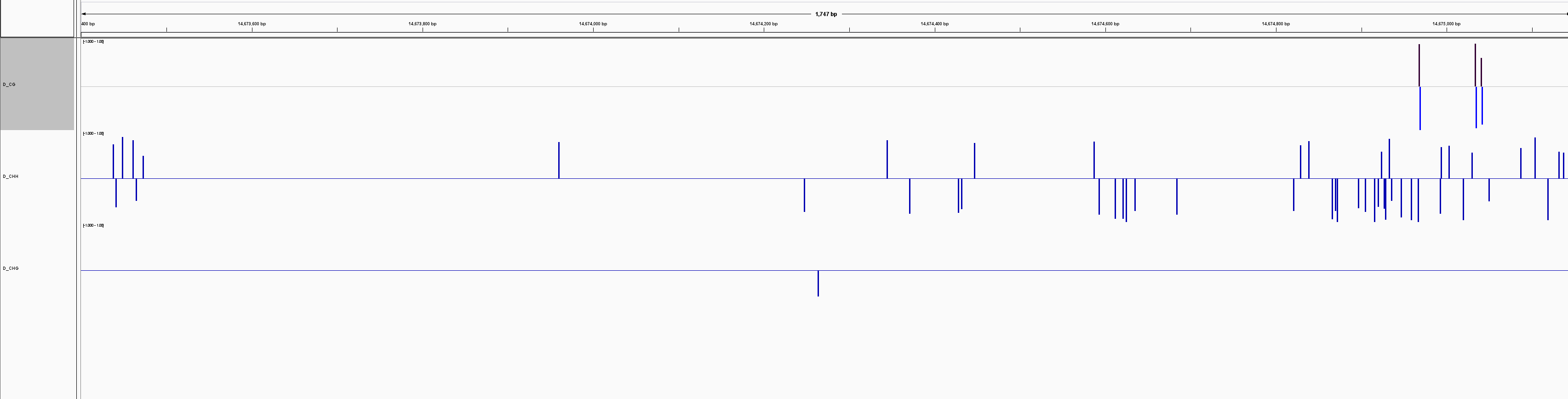 image-20200907194817079