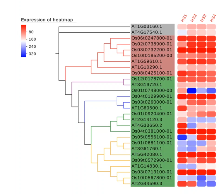 image-20200907202249546