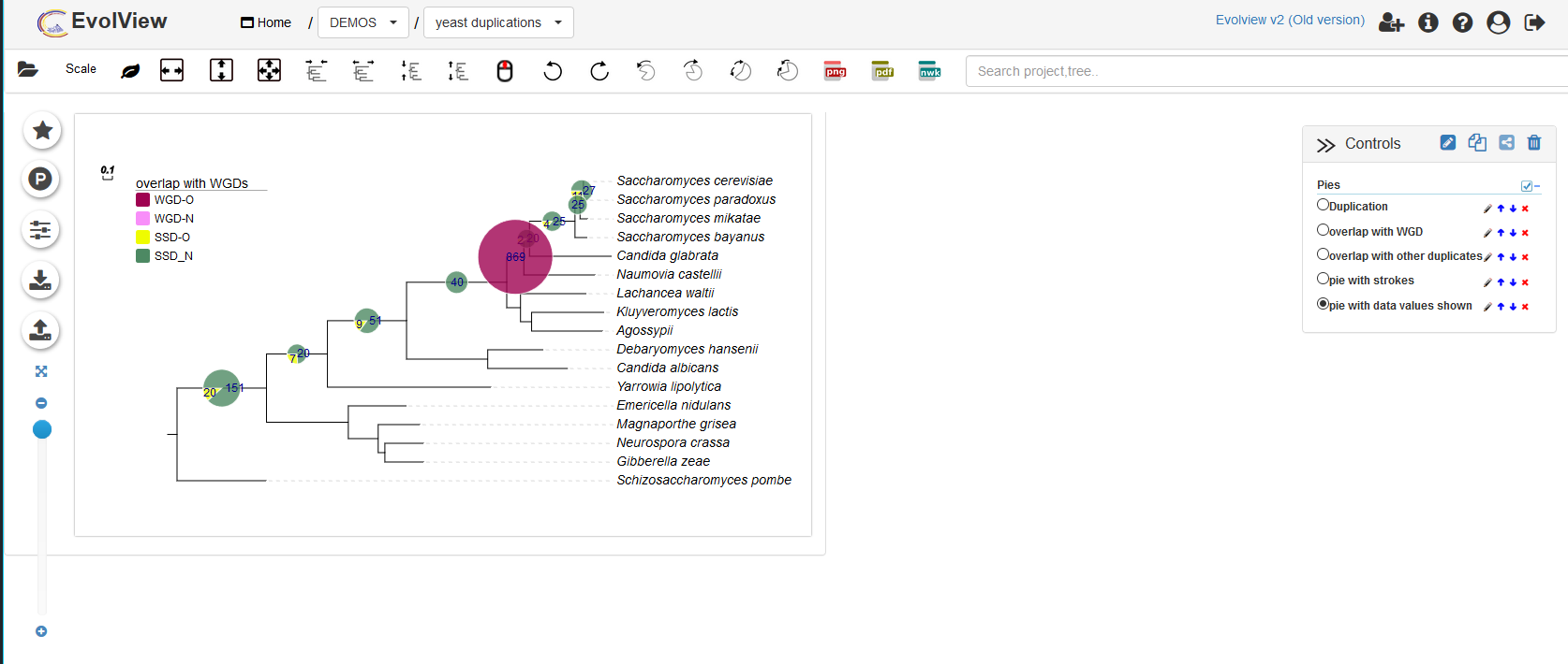 image-20200907202626355