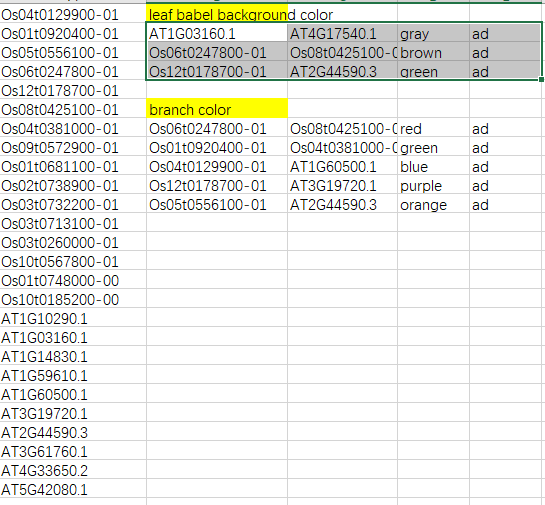 image-20200907204940904