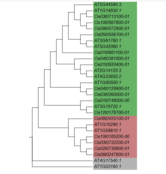 image-20200907205645996