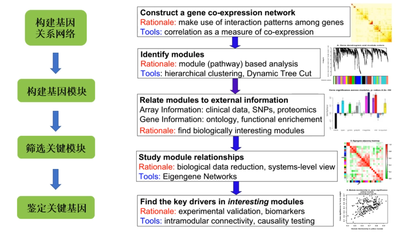 image-20200731152956207