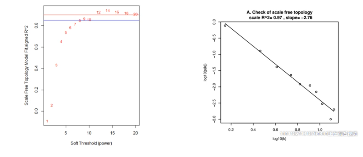 image-20200731161110595