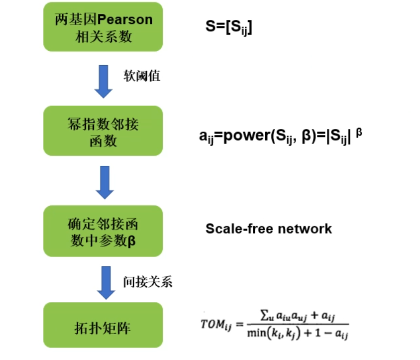 image-20200731163229008