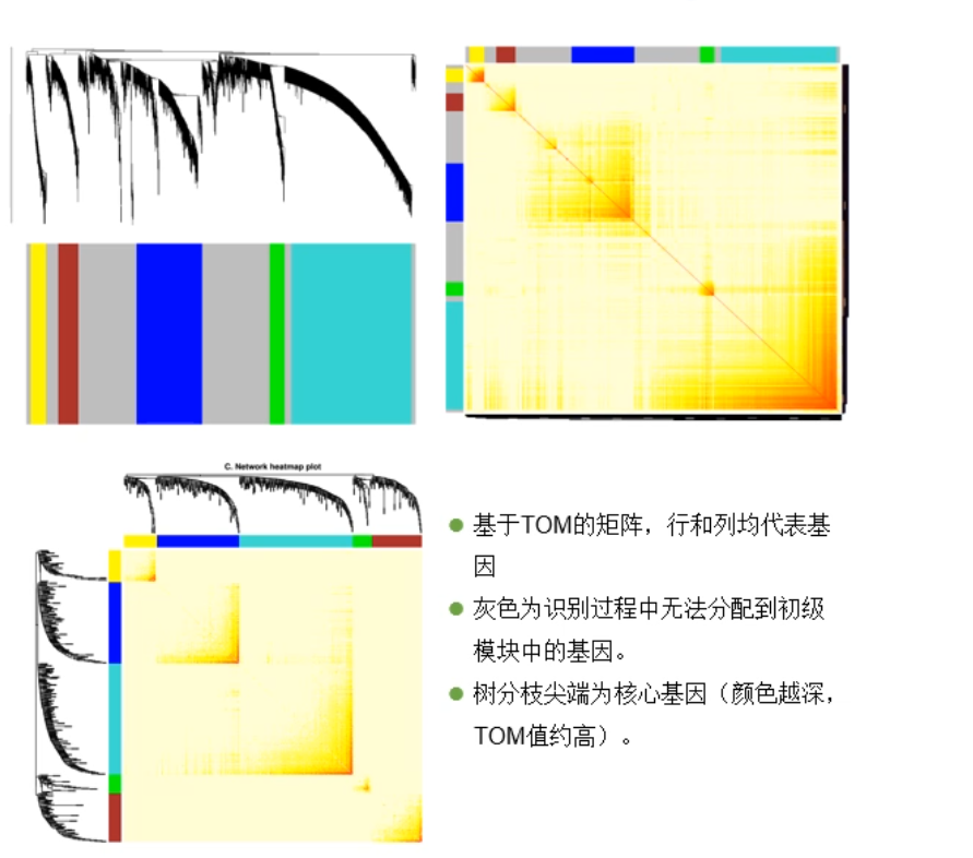 image-20200731165125469