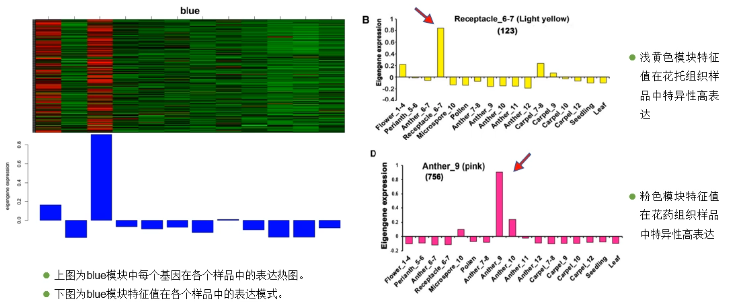 image-20200731165901643