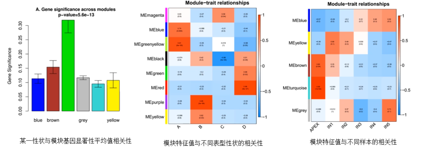 image-20200731171714902