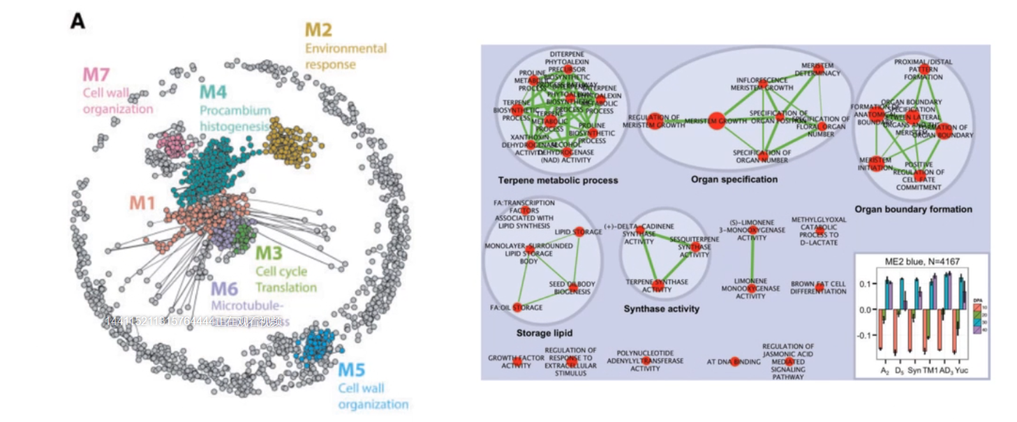 image-20200731172423967