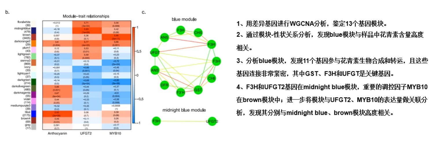 image-20200731172608084